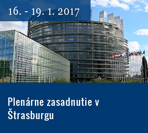 Plenárne zasadnutie v Štrasburgu - Richard Sulík