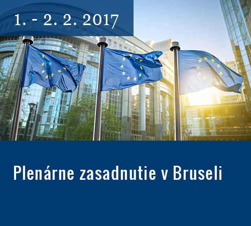 Plenárne zasadnutie v Bruseli - Richard Sulík