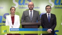 Sabotovali predčasné voľby - Richard Sulík