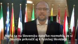 Uznesenie o ochrane investigatívnych novinárov - Richard Sulík
